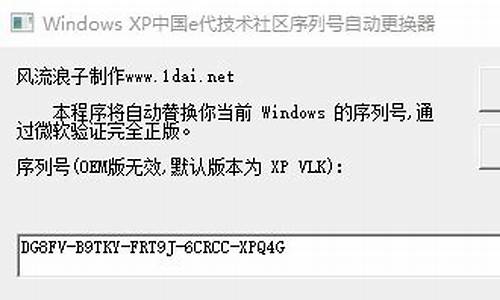 xp 序列号 无法进入_xp输入序列号