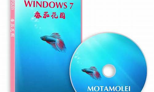 番茄花园win7怎么用_番茄花园win7