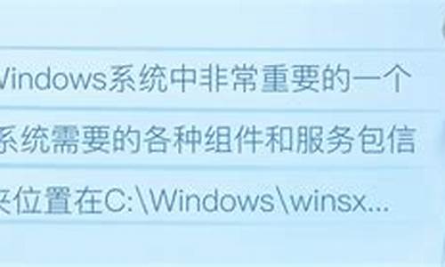 win10满了怎么办_winsxs太满了怎么办