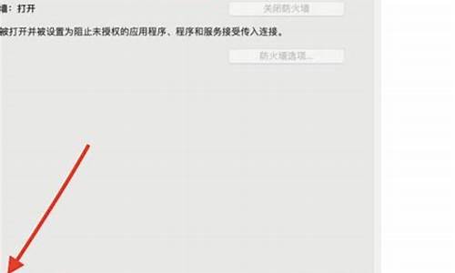 苹果防火墙在哪里设置_苹果防火墙在哪里设置方法