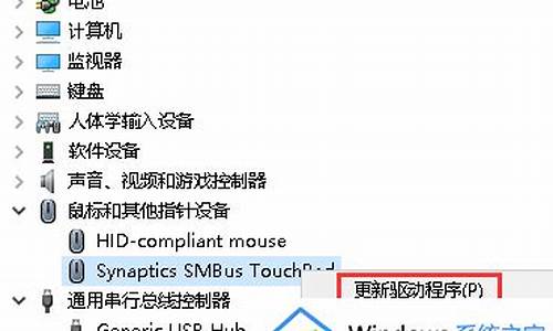 笔记本触摸板驱动在哪_笔记本触摸板驱动在哪里看